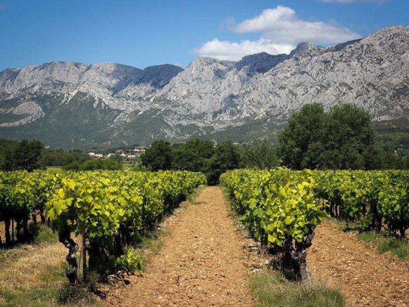 Domaine le Loup Bleu - photo 4