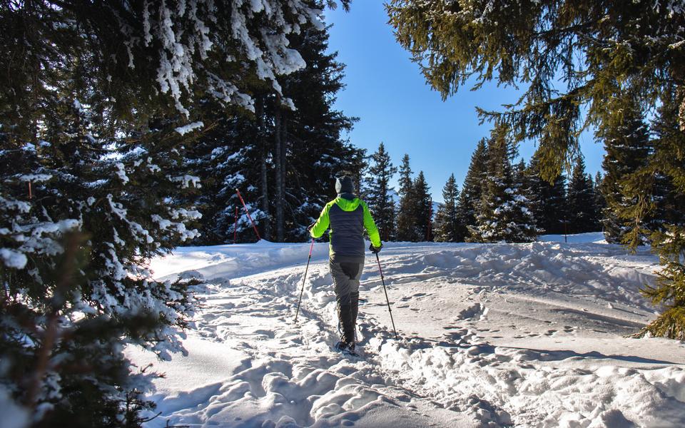 Snowshoe outing