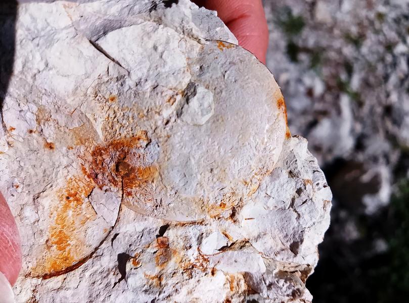 Image Géologie