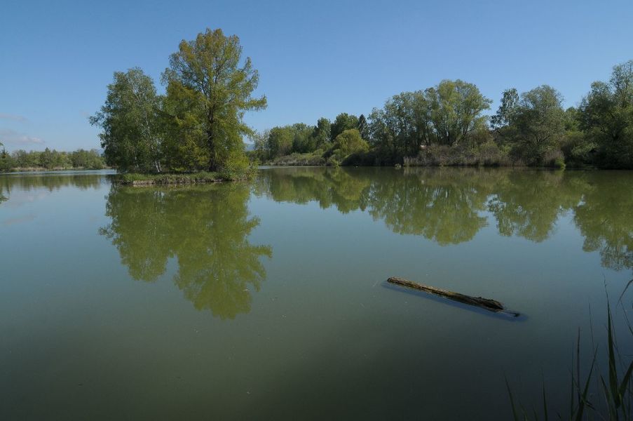 ENS la Save étangs de la Serre