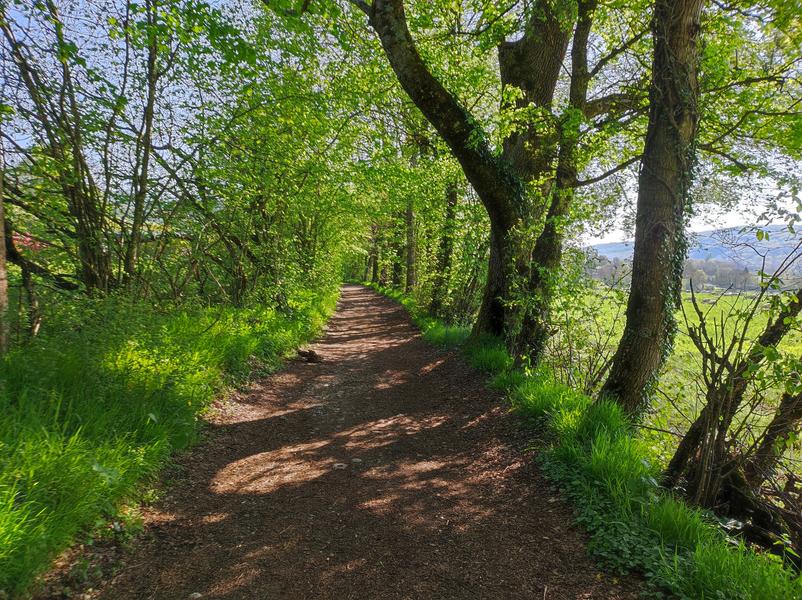 Chemin de randonnée