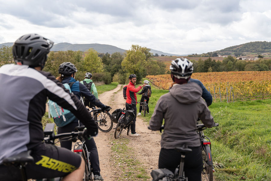 Tours guidés vélo électrique
