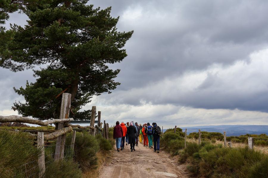 Itinéraire A la découverte des rapaces de Montselgues_Montselgues