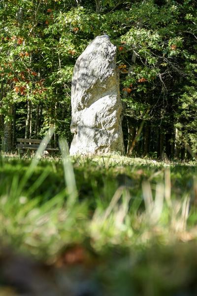 Menhir du Bois des Brosses