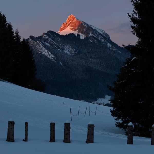 Exposition : Stat Crux Murmures de Chartreuse d'Alain Durand_Saint-Pierre-de-Chartreuse