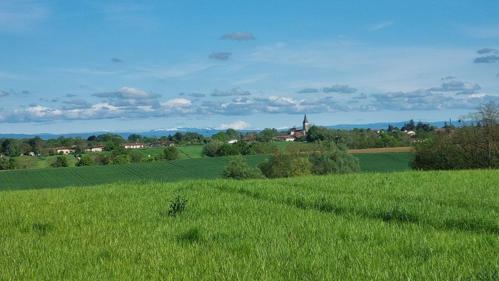 Circuit VTT-VTC n°25 (rouge) Comté de Montrevel - Domaine du Sougey_Montrevel-en-Bresse