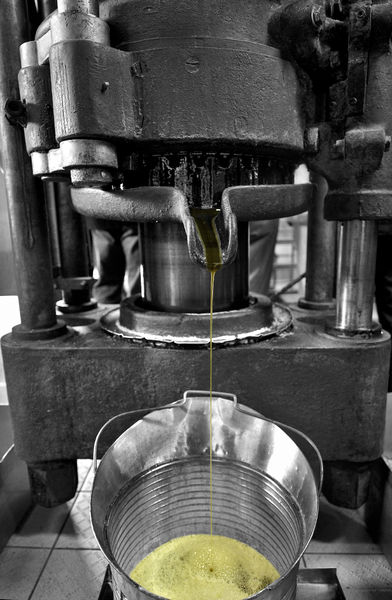 Huilerie Beaujolaise_Moulin