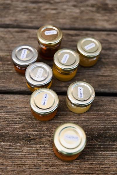 Apinae Apiculture_Bollène