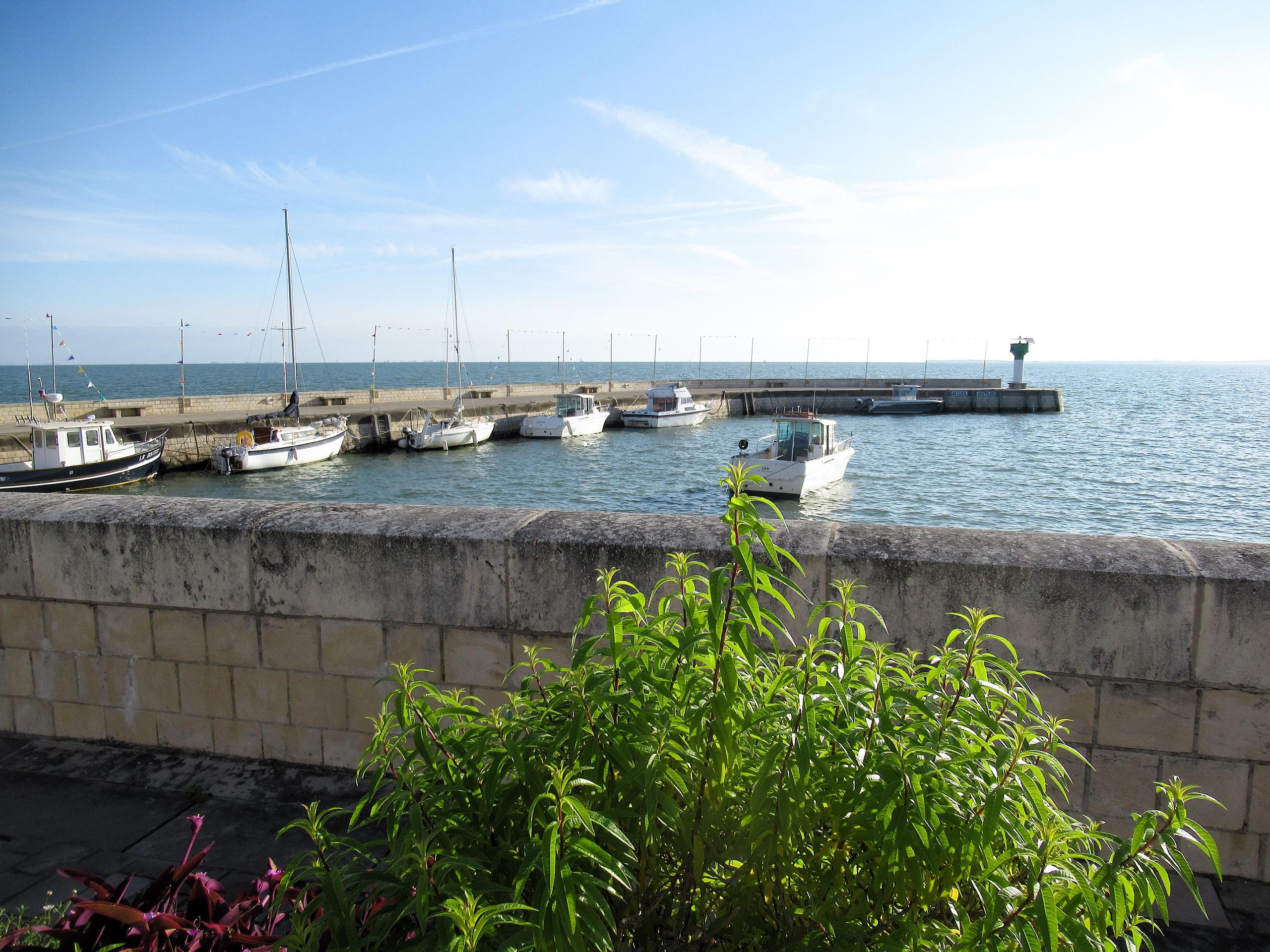 Balade accessible à Rivedoux-Plage