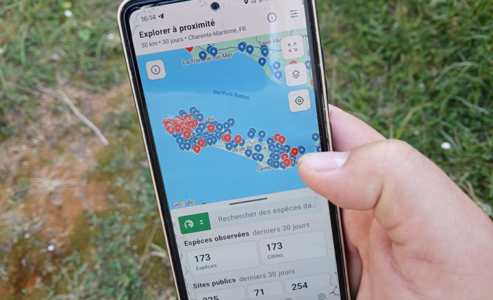 Sortie observations ornithologiques avec les écogardes