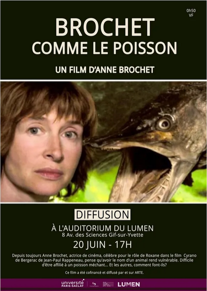 Film : Brochet comme le poisson