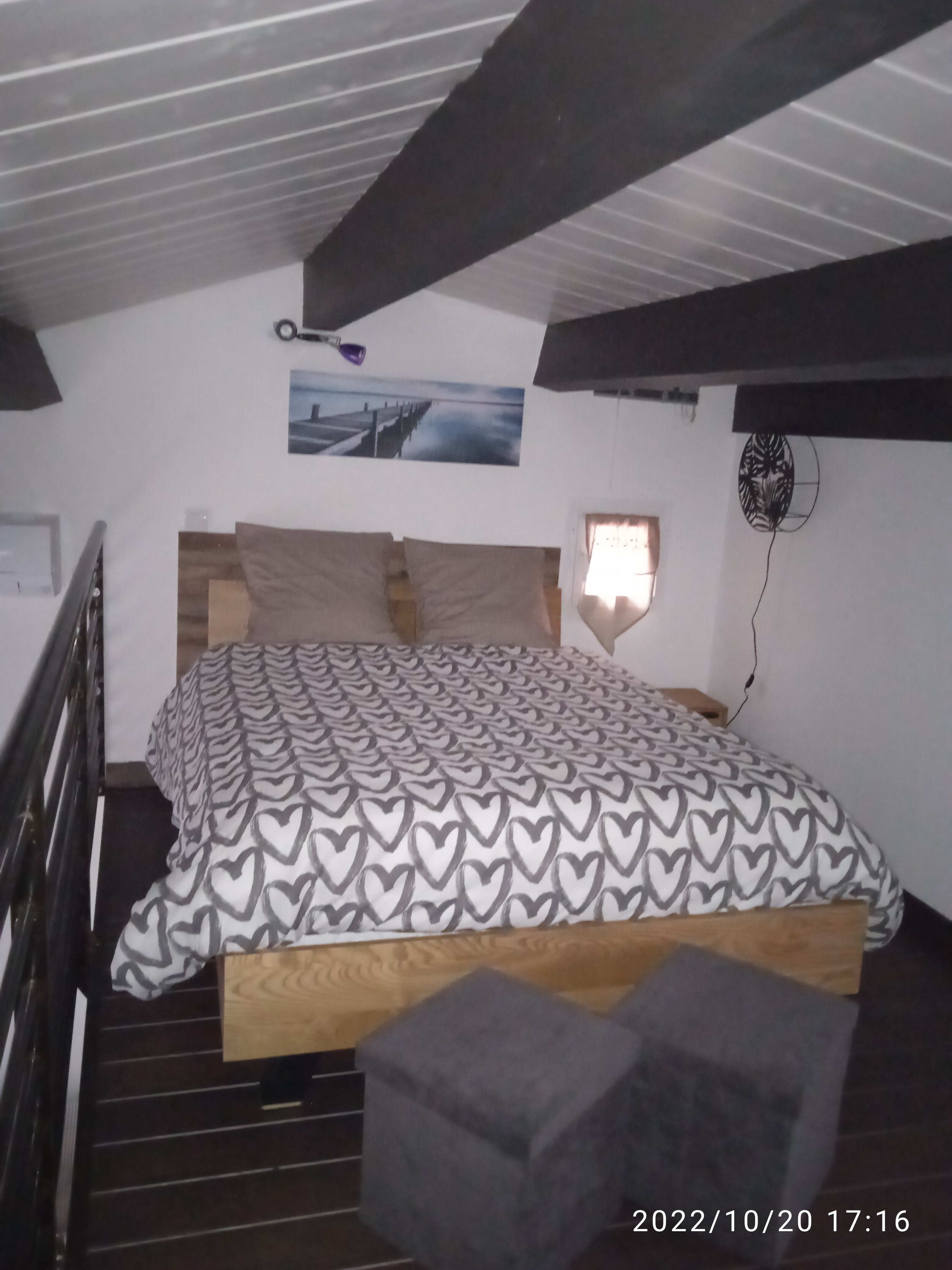 Les oliviers de Camargue