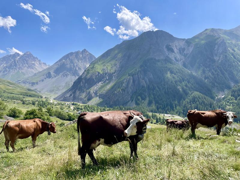 La Ferme des Etroits - Commerce de produits régionaux_Valloire