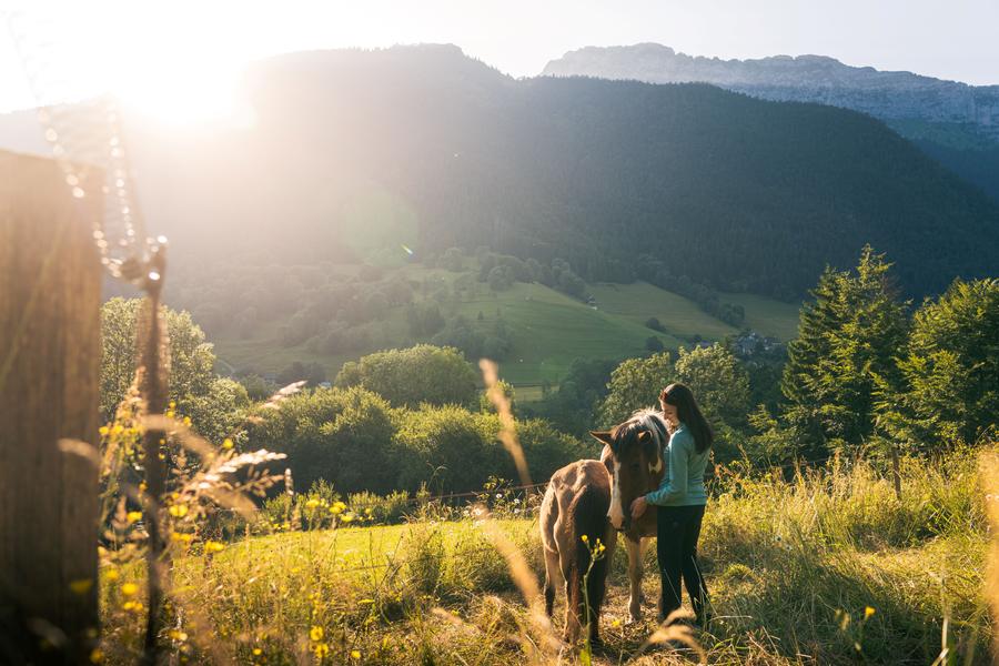 Cabanes refuges / Chartreuse bivouac_Saint-Pierre-d'Entremont