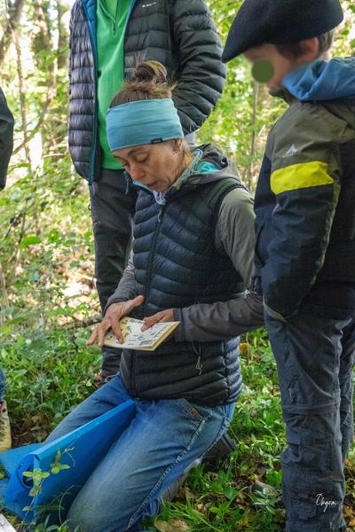 À Fleurs de Montagne_Saint-Jean-d'Hérans