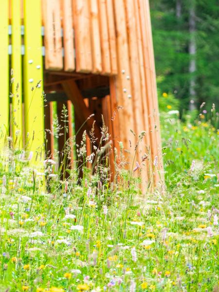 La cabane en prairie du chemin du petit bonheur - Lanslevillard
