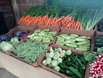 La Ferme des Grenouilles - Villeneuve-Loubet