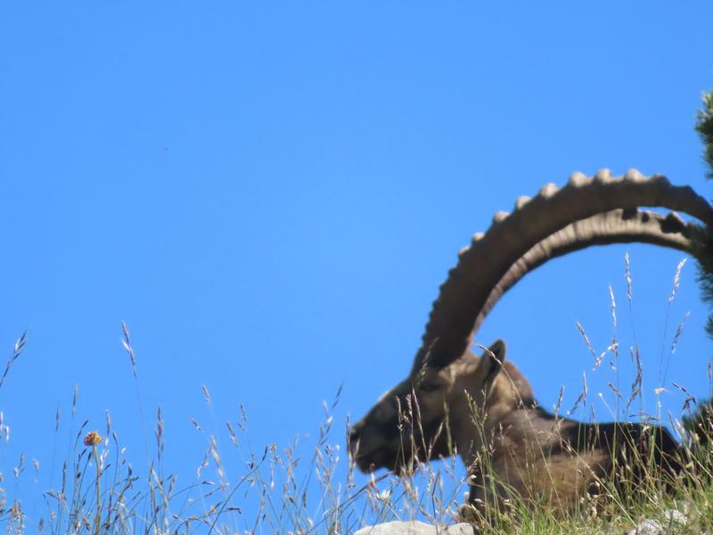 Christian Diénot - accompagnateur en montagne_Saint-Martin-de-Clelles