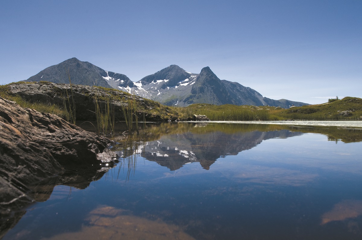 photosFeed-https://static.apidae-tourisme.com/filestore/objets-touristiques/images/54/65/34095414.jpg