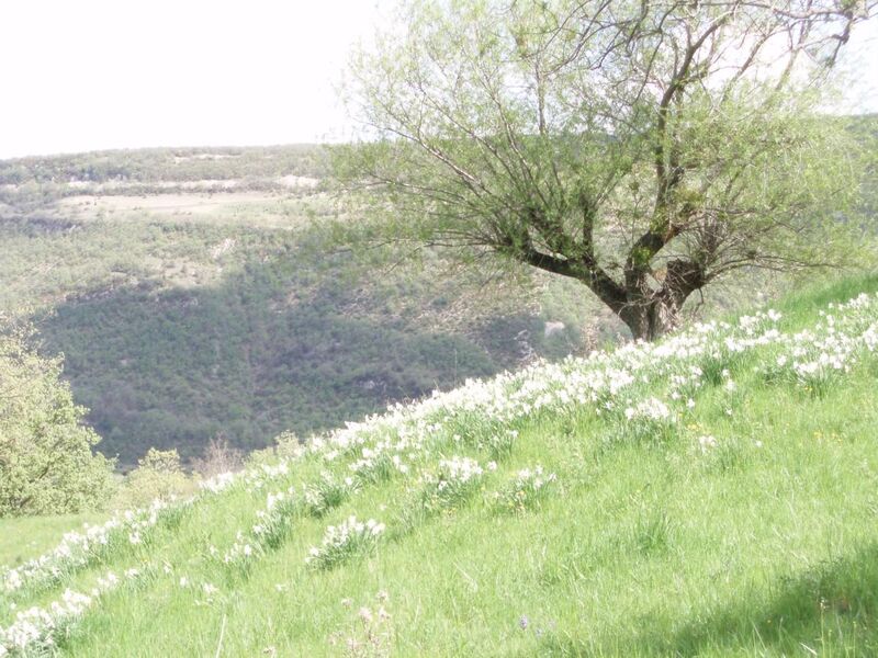 GRP - Pays de Dieulefit