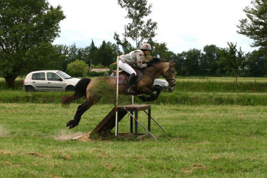 Portes ouvertes - Les Poneys de Chastellus_Alba-la-Romaine
