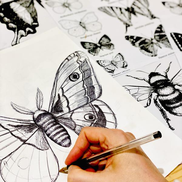 Cours de dessin/peinture - Juniors de 7 à 13 ans