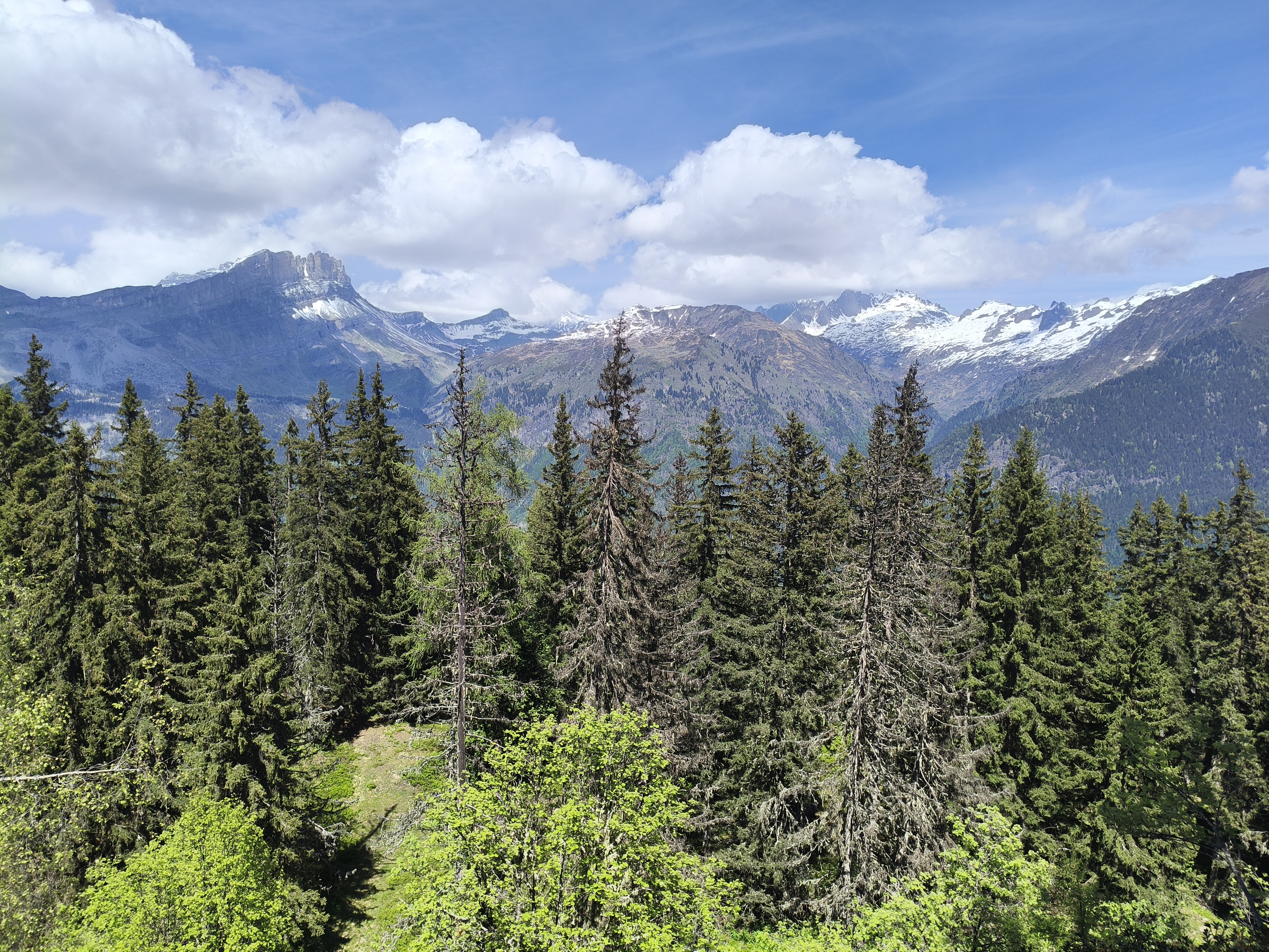 Les mercredis de Charbonnière