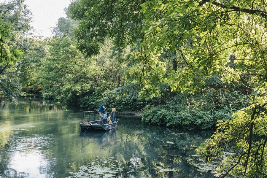 Réserve naturelle de l'Ile de la Platière_Le Péage-de-Roussillon