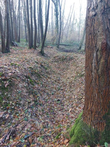 Tranchée de 1915 dans le bois de Montgé