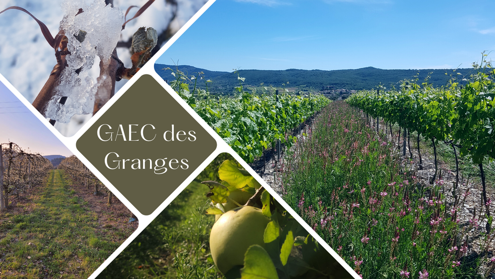 Gaec des Granges_Alba-la-Romaine