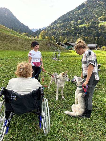 activites-chien-de-traineau