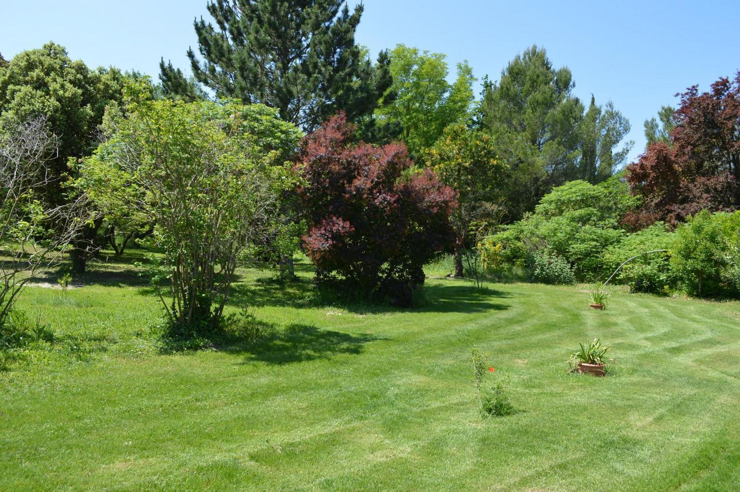 Mas des Princes, Noves - photo 25