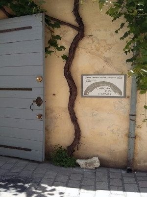 Librairie l'Archa des Carmes