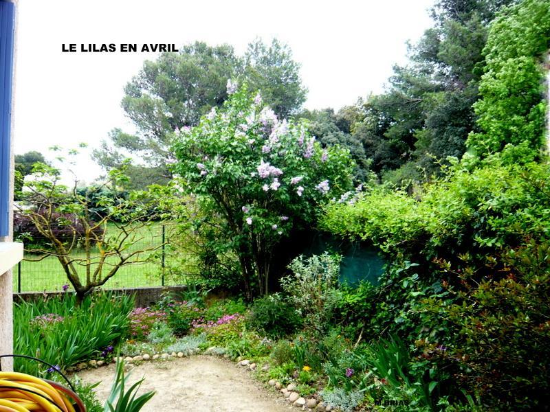 L'Olivade, Eyragues - photo 26