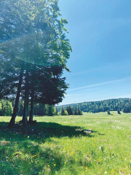 Itinérance l’Ain à Vélo –  Le Plateau de Retord, la Nature par excellence (2 jours)_Valserhône-7