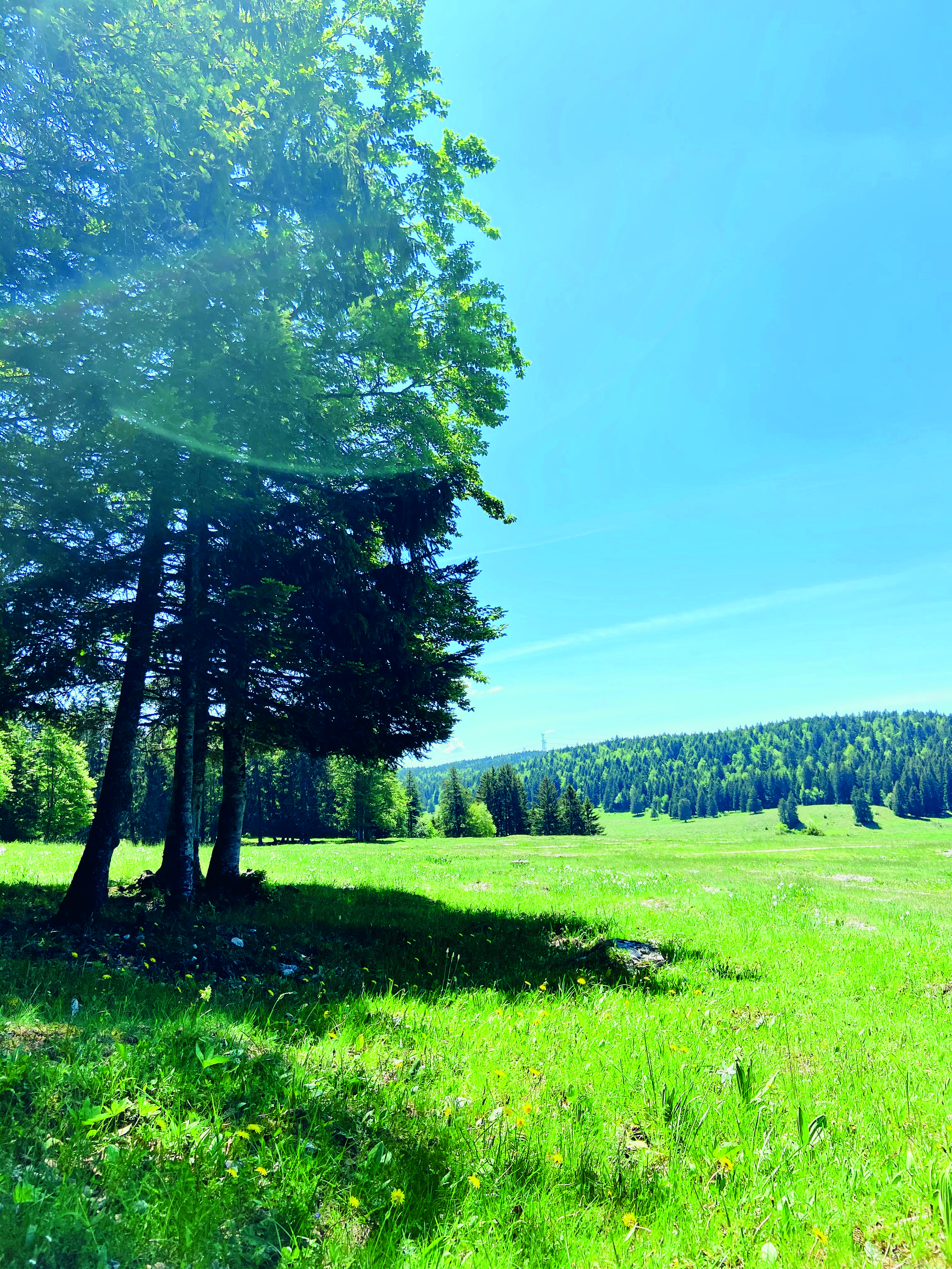 Itin�rance l�Ain � V�lo �  Le Plateau de Retord, la Nature par excellence (2 jours)