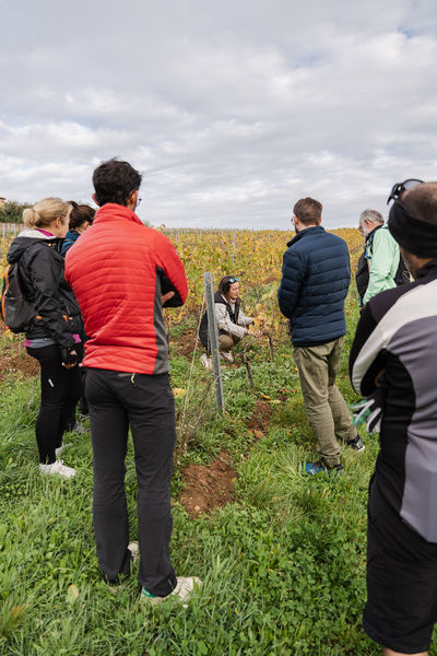 Dégustation Anaïs Pertuizet