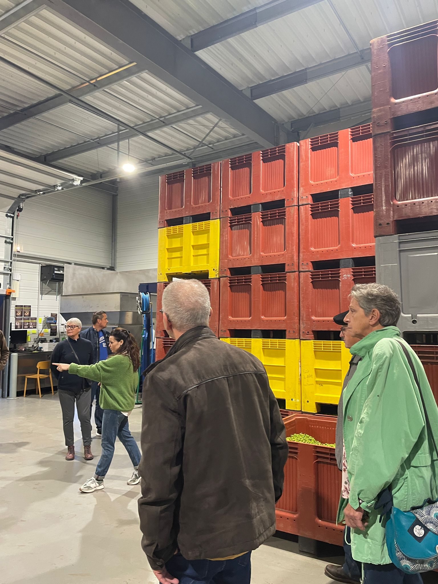 Découverte de la transformation des olives au Moulin à Huile Leydier