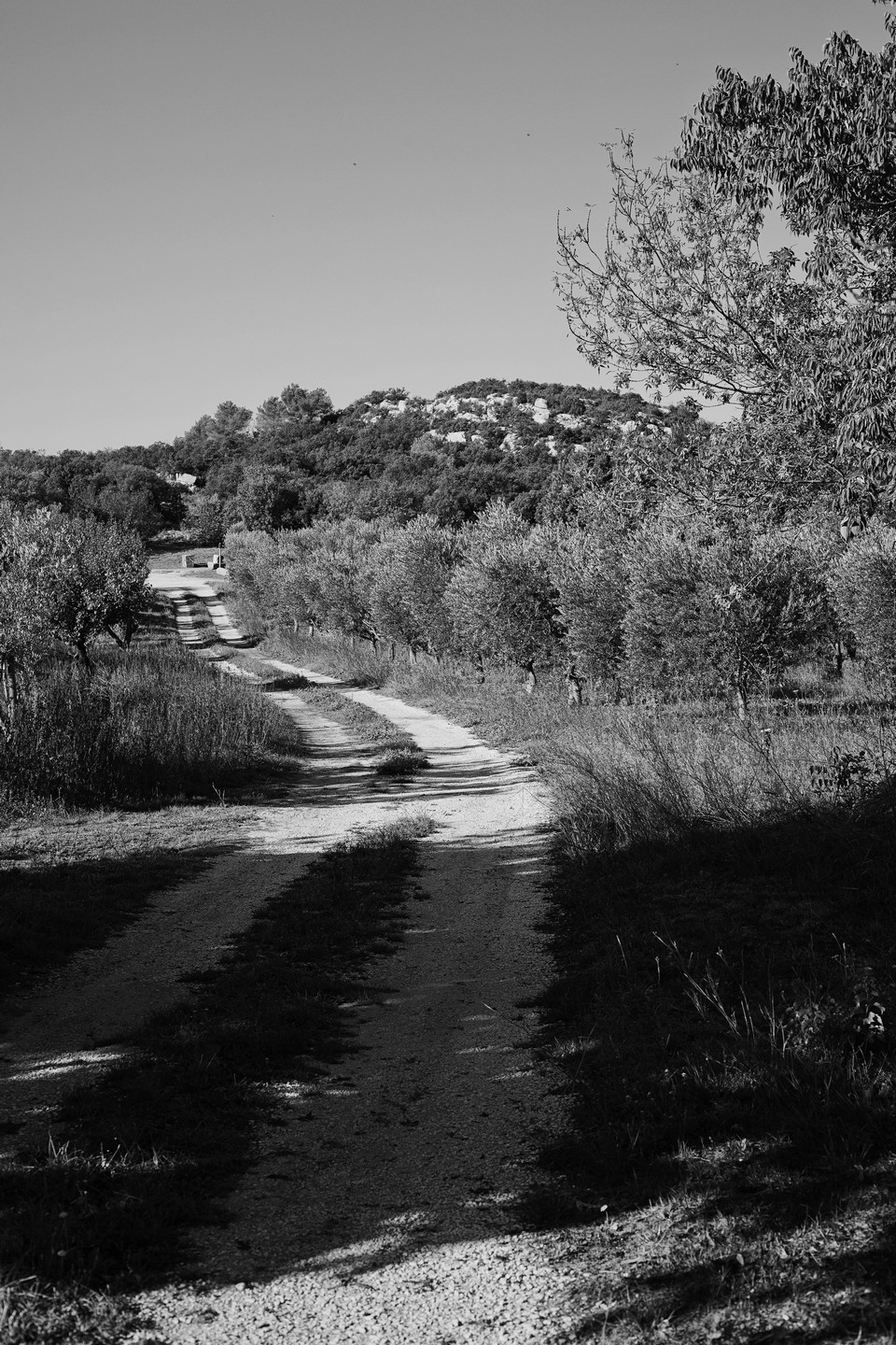 Le Relais du Castellet, Fontvieille - photo 4