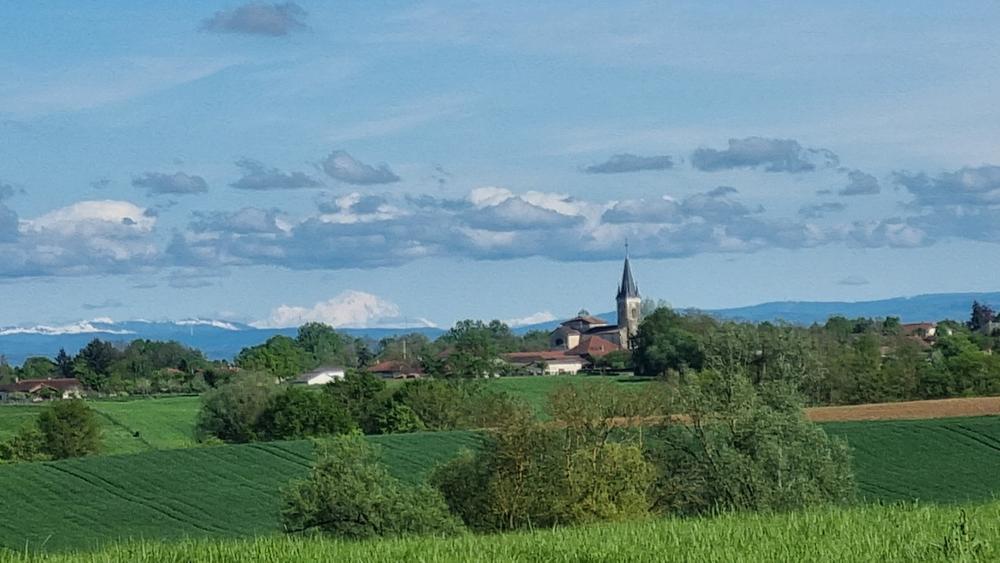 Circuit VTT-VTC n°25 (rouge) Comté de Montrevel - Domaine du Sougey_Montrevel-en-Bresse