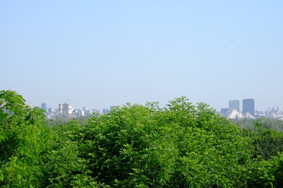 Vue depuis la Butte aux canons 