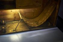 Vies cachées, vies clandestines - visite guidée_Grenoble