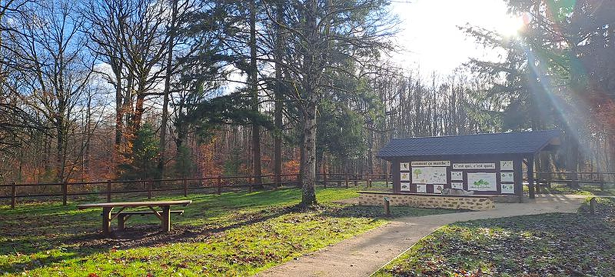 Sentier du grillon_Dourdan