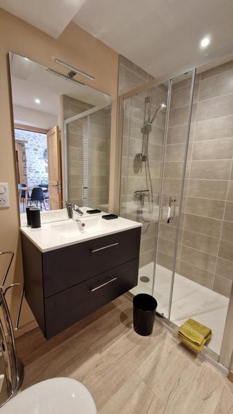 Gîte - 4 personnes - au Grand Peisselay à VALSONNE en Haut Beaujolais : la salle d\'eau avec toilettes. 