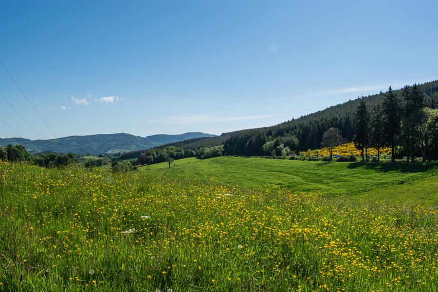 Circuit 4 Du Tourvéon à la Roche d\'Ajoux_Chénelette