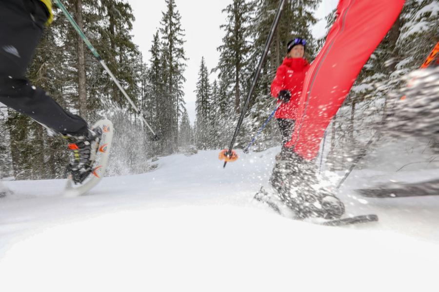 Balade Raquettes avec l'ESF de Valfréjus