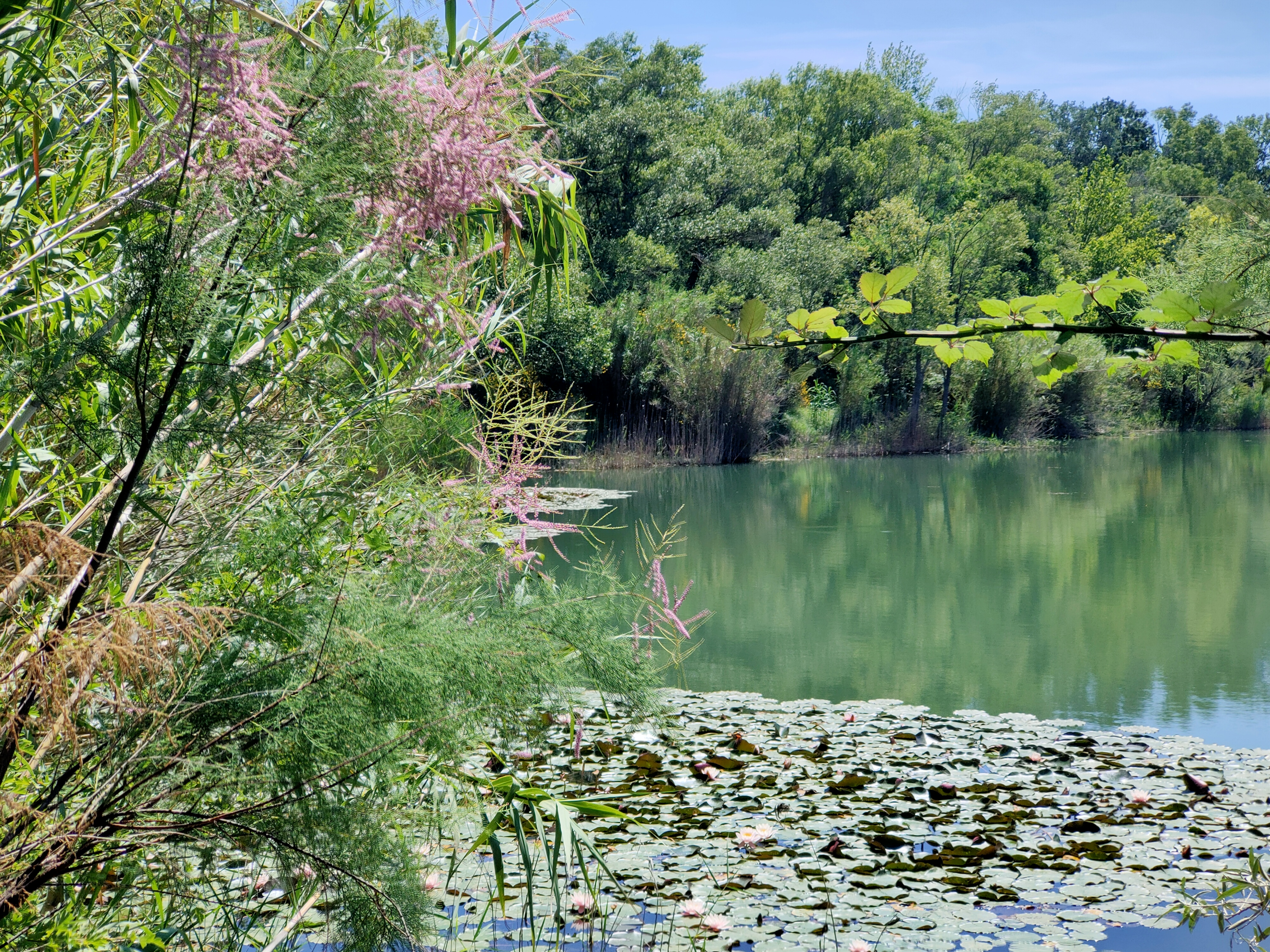 Noves au fil de l'eau - photo 3