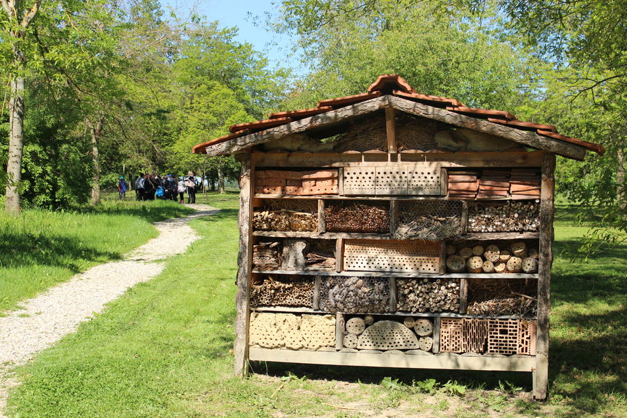Arbre à insectes arboretum -  - Chatillon sur Chalaronne
