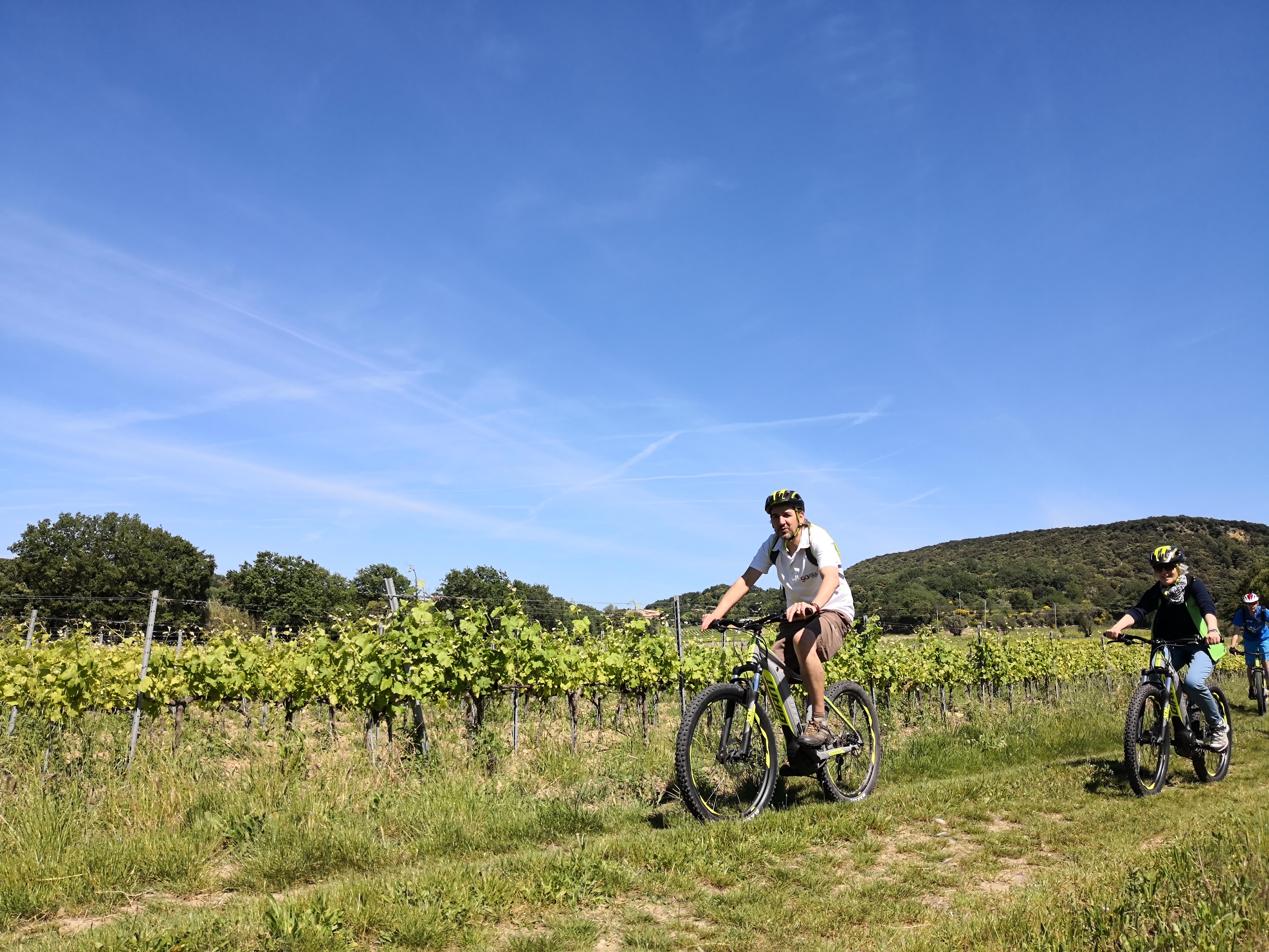 balade vélo vignes ©anne trevet