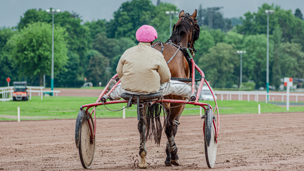 Grand Prix du Conseil Municipal à l'Hippodrome de Vichy-Bellerive
